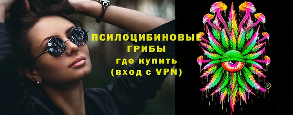 Альфа ПВП Аркадак