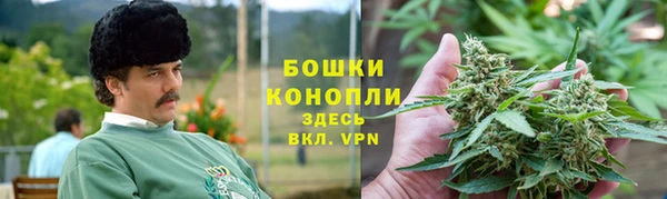 Альфа ПВП Аркадак