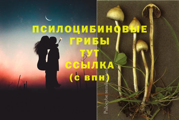 Альфа ПВП Аркадак